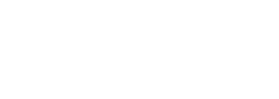 First- In Consulting
